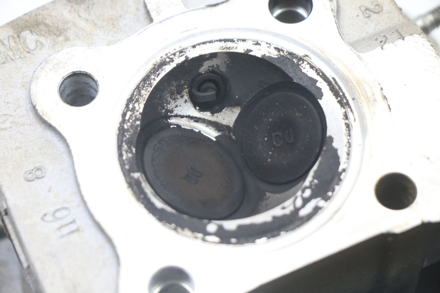 photo de CULASSE DAELIM BESBI 125 (2007 - 2008)