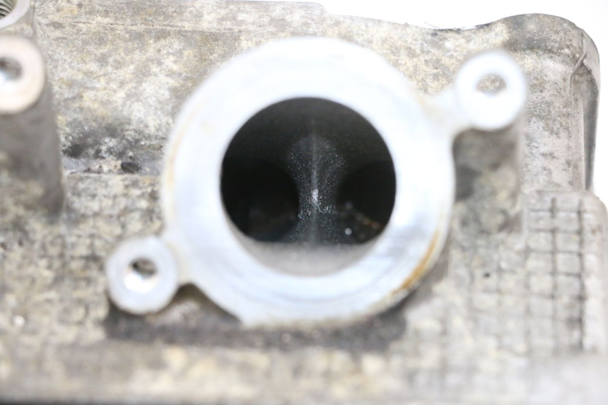 photo de CULASSE SUZUKI BURGMAN 650 (2013 - 2020)