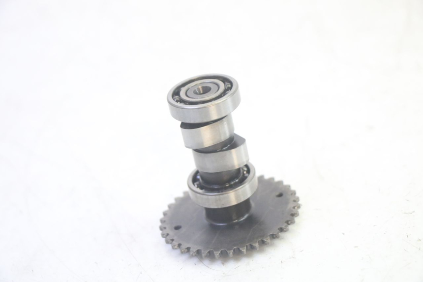 photo de CULASSE LONGJIA DIGITA 4T 50 (2019 - 2022) - Inspection visuelle