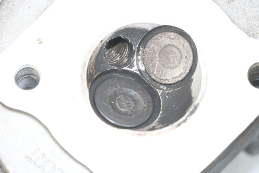 photo de CULASSE JM MOTORS OLDIES 4T 50 (2010 - 2020) - Aperçu profil