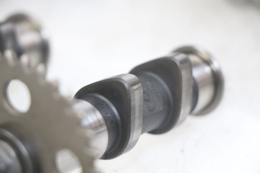 photo de CULASSE APRILIA SCARABEO LIGHT 125 (2007 - 2011)