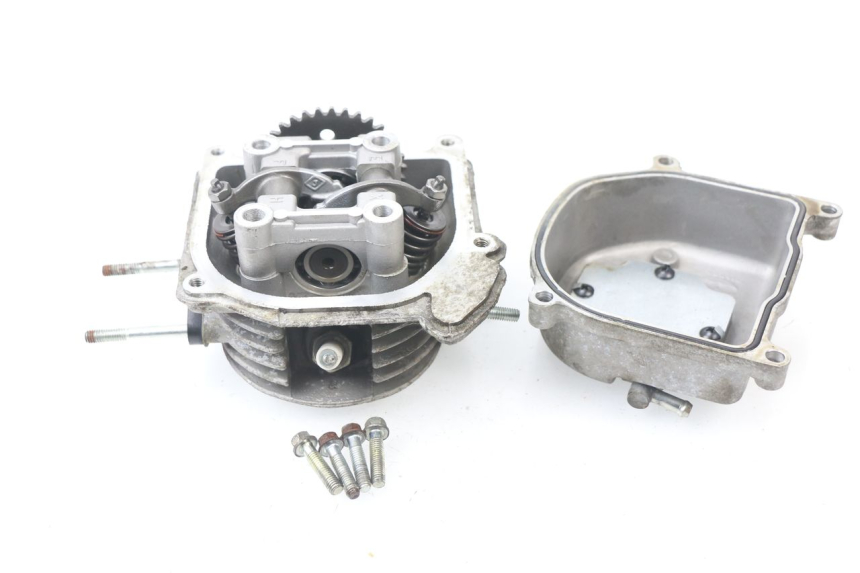 photo de CULASSE JM MOTORS SUNNY 50 (2017 - 2020)