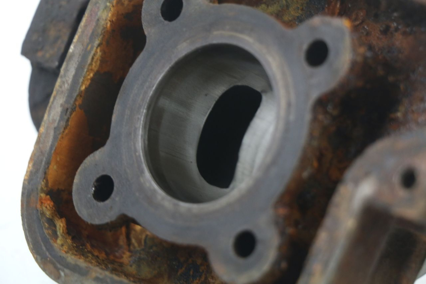 photo de CYLINDRE PISTON PEUGEOT LUDIX BLASTER 50 (2006 - 2014) - Marquages et références