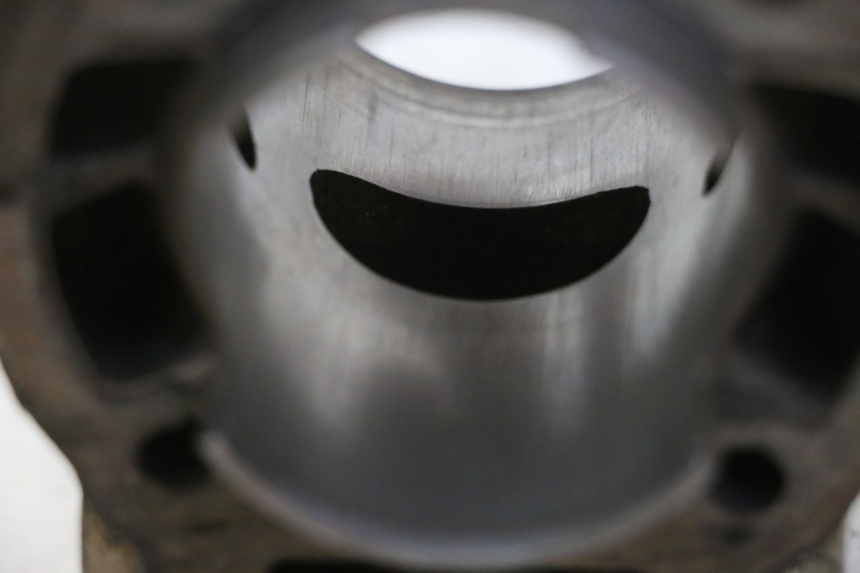 photo de CYLINDRE PISTON DERBI SENDA SM DRD 50 (2008 - 2013)