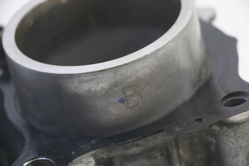 photo de CYLINDRE PISTON YAMAHA TRICITY 300 (2020 - 2024) - Vue d’ensemble