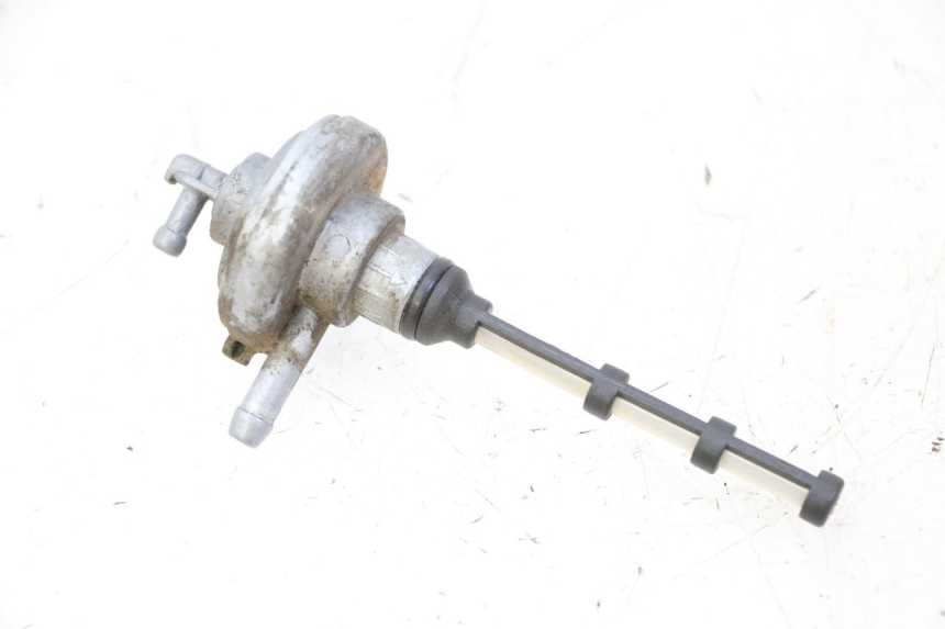 photo de DEPRESSION RESERVOIR PIAGGIO LIBERTY 4T 50 (2009 - 2015)