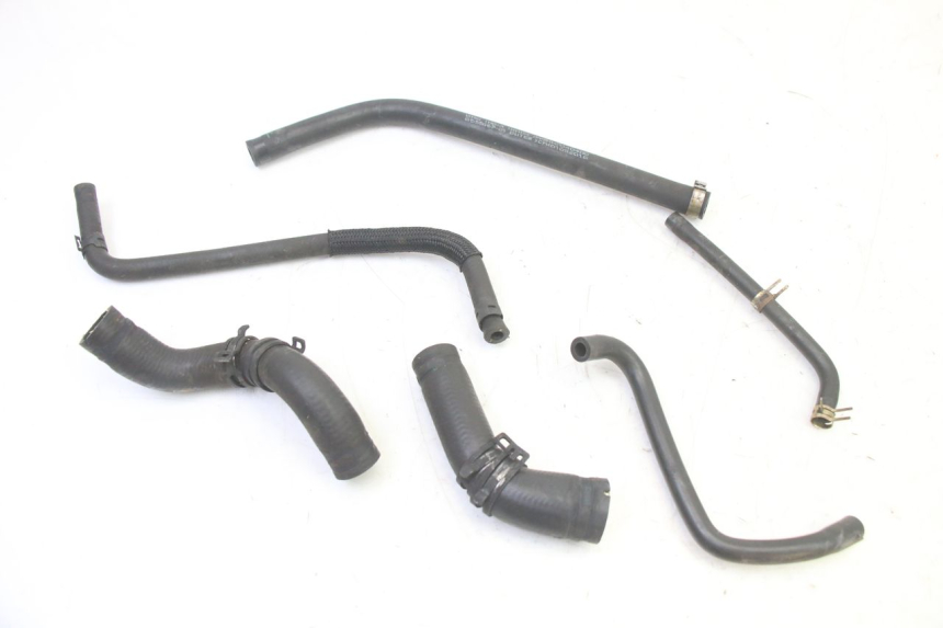 photo de DURITE RADIATEUR BMW G310 R 310 (2016 - 2020)