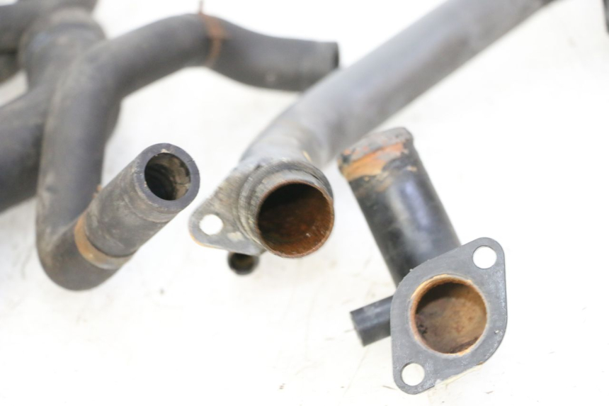 photo de DURITE RADIATEUR TRIUMPH SPRINT 900 (1995 - 1998)