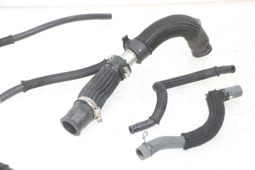 photo de DURITE RADIATEUR YAMAHA XJ6 ABS 600 (2008 - 2016)