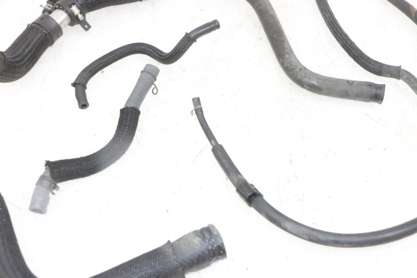 photo de DURITE RADIATEUR YAMAHA XJ6 ABS 600 (2008 - 2016)