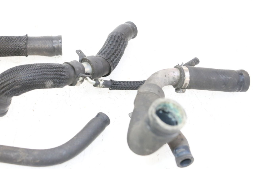 photo de DURITE RADIATEUR YAMAHA XJ6 ABS 600 (2008 - 2016)