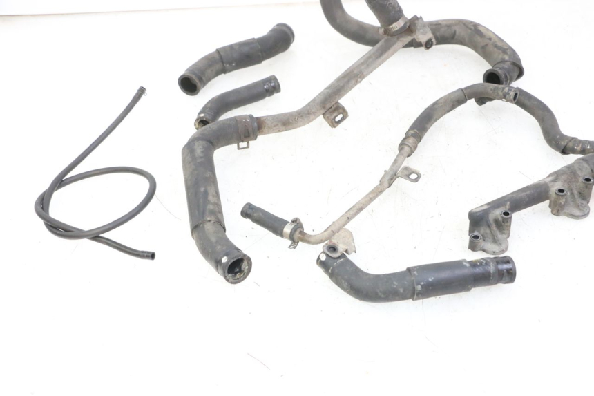 photo de DURITE RADIATEUR YAMAHA FZS FAZER 600 (2001 - 2003)