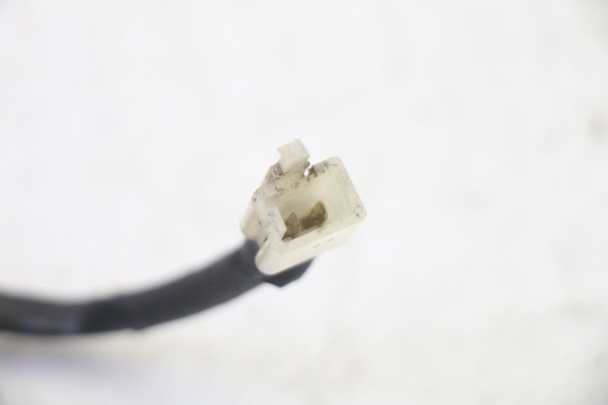 photo de ECLAIRAGE DE PLAQUE QUADRO 4 4D 350 (2015 - 2018)