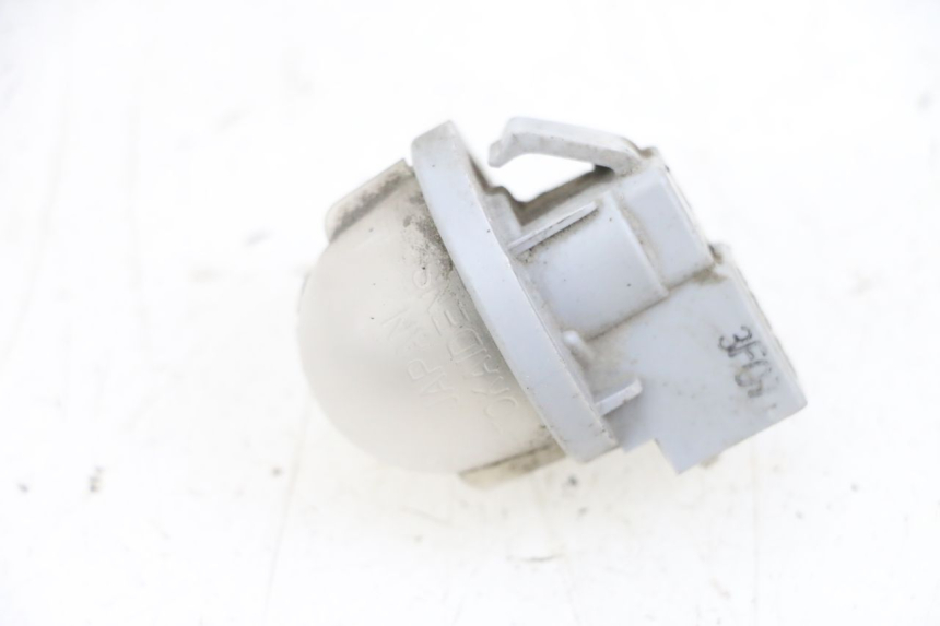 photo de ECLAIRAGE DE PLAQUE SUZUKI BURGMAN 650 (2013 - 2020)