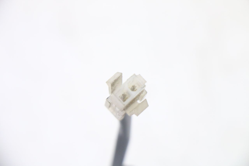 photo de ECLAIRAGE DE PLAQUE PEUGEOT CITYSTAR 50 (2013 - 2017)