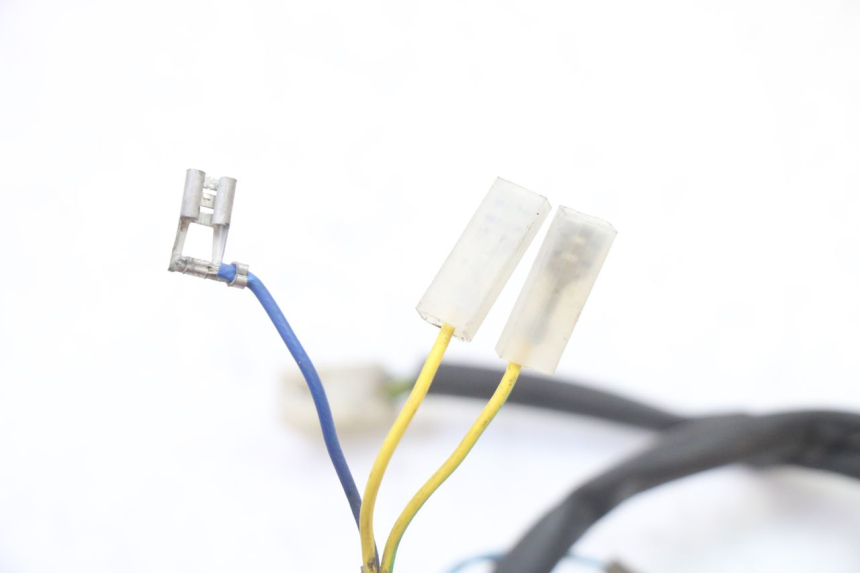 photo de ECLAIRAGE DE PLAQUE APRILIA CLASSIC 125 (1995 - 2001)