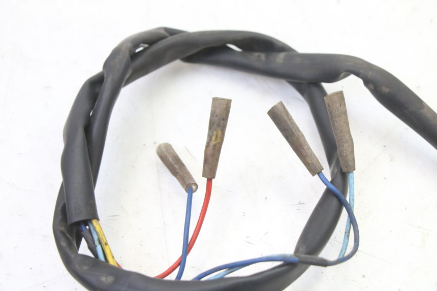 photo de ECLAIRAGE DE PLAQUE APRILIA CLASSIC 125 (1995 - 2001)