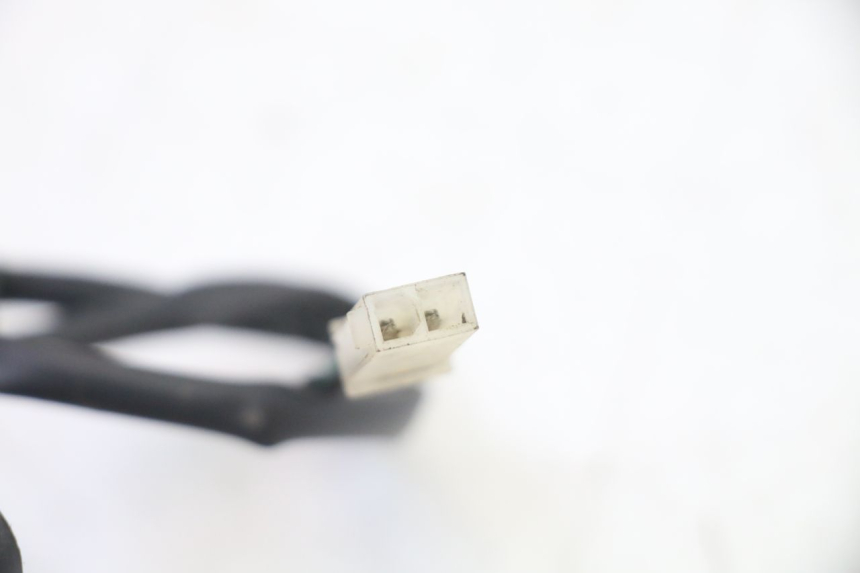 photo de ECLAIRAGE DE PLAQUE PEUGEOT SATELIS 250 (2006 - 2012)