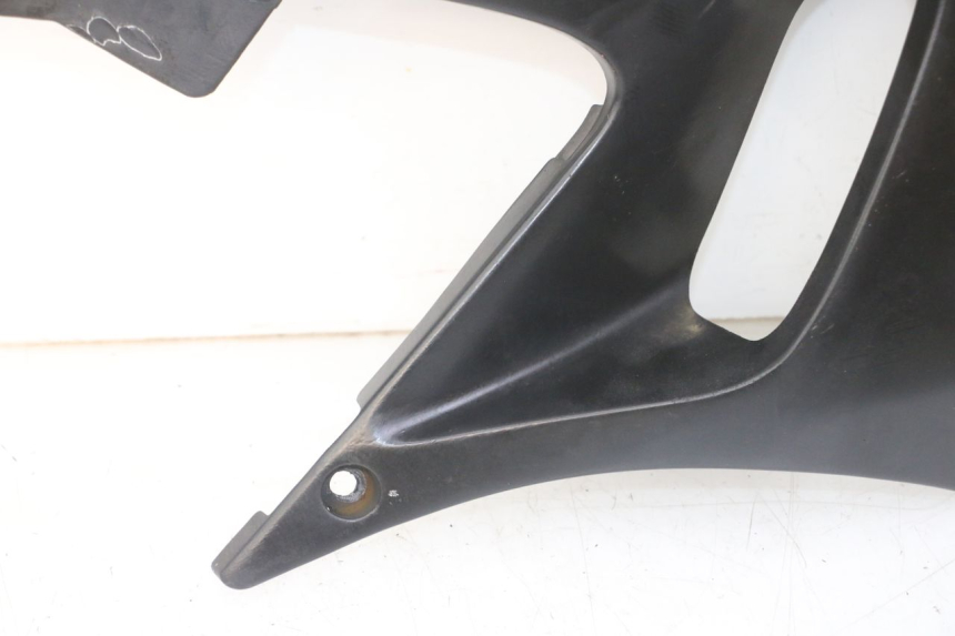 photo de ECOPE RADIATEUR YAMAHA TDR DELTABOX 125 (1993 - 2003)