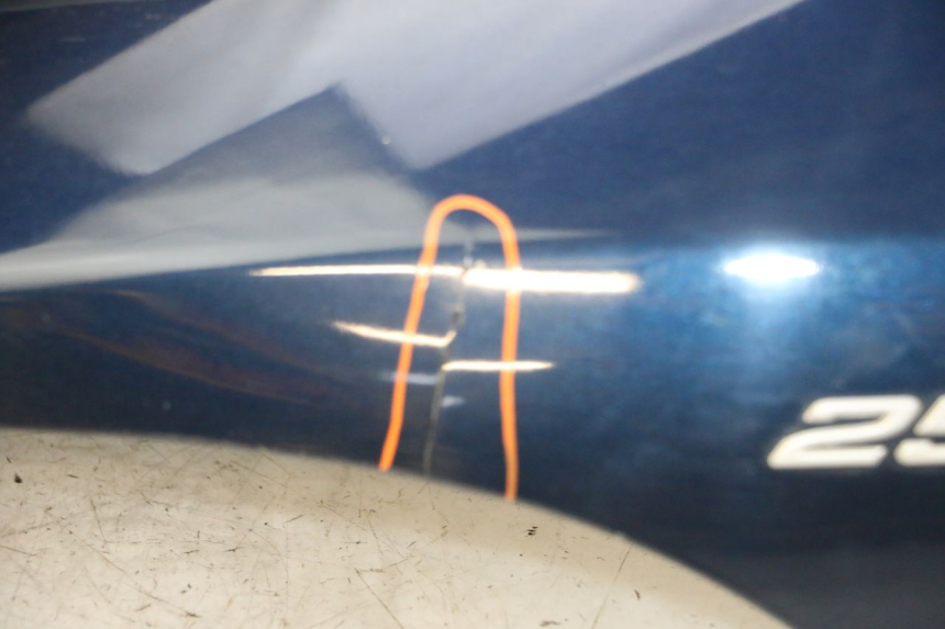 photo de FACE AVANT PIAGGIO MP3 RL 250 (2007 - 2010) - Aperçu profil