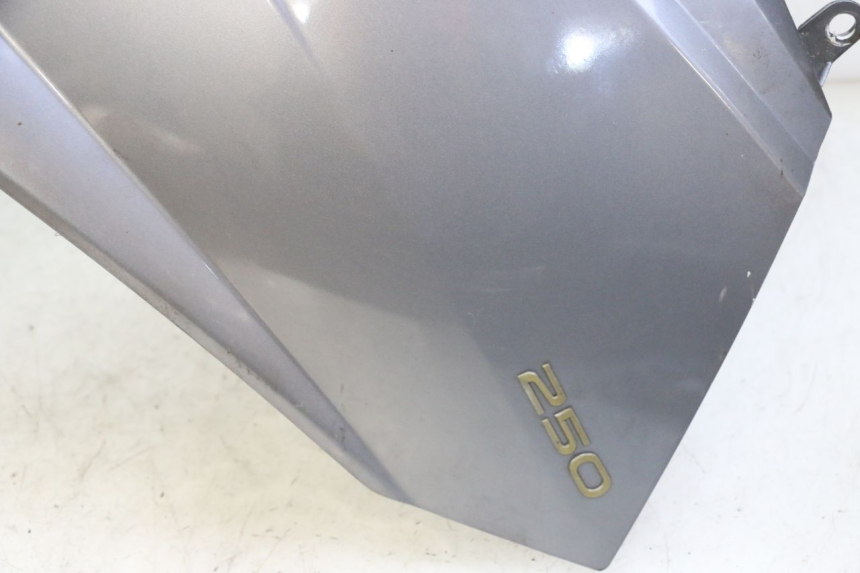 photo de FACE AVANT PEUGEOT SATELIS 250 (2006 - 2012)