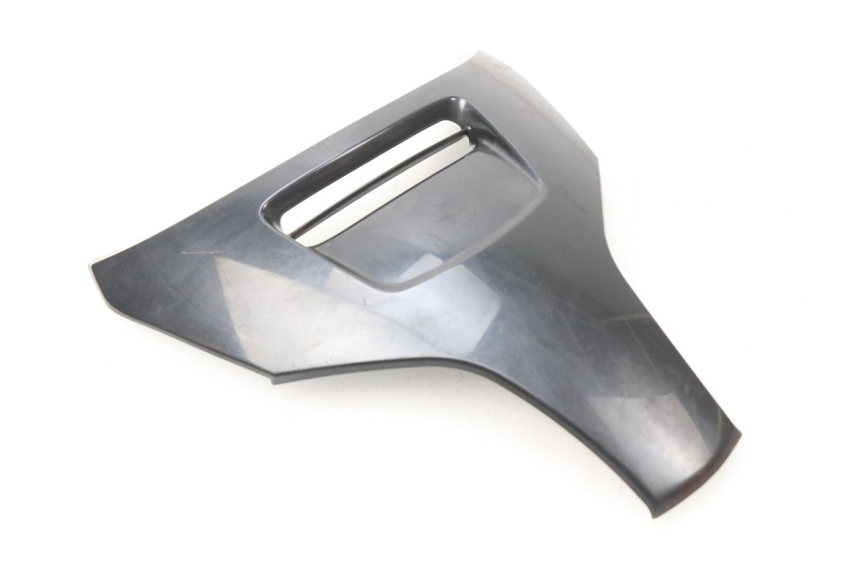 photo de FACE AVANT SUPERIEUR  SUZUKI BURGMAN 650 (2002 - 2004)