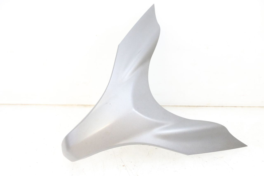 photo de FACE AVANT SUPERIEUR SUZUKI BURGMAN 650 (2013 - 2020)