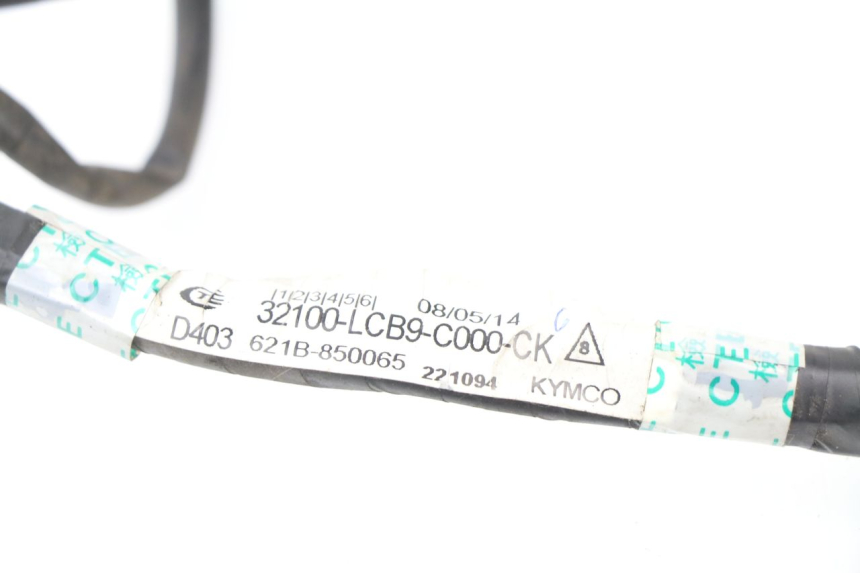 photo de FAISCEAU KYMCO AGILITY PREMIUM 50 (2007 - 2010)