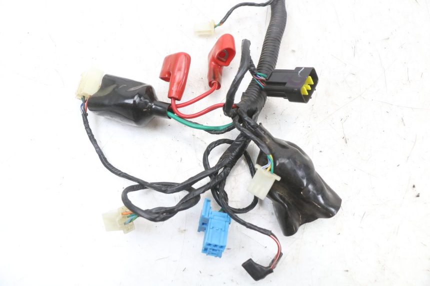 photo de FAISCEAU TNT MOTOR BOSTON 4T 50 (2018 - 2025)