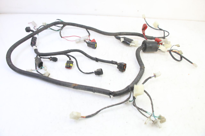 photo de FAISCEAU TNT MOTOR BOSTON 4T 50 (2018 - 2025)