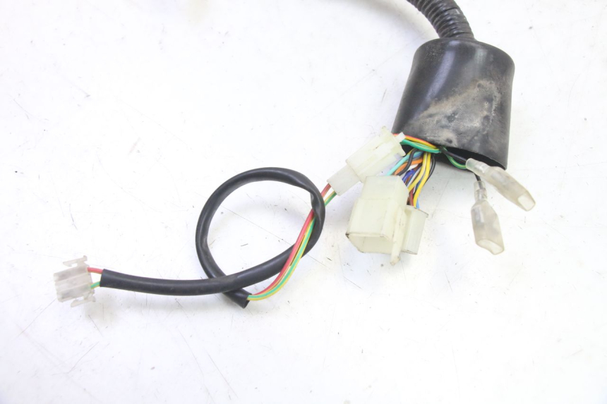 photo de FAISCEAU TNT MOTOR BOSTON 4T 50 (2018 - 2025)