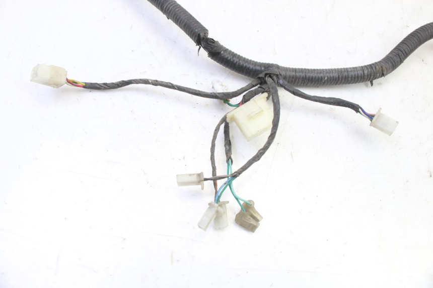 photo de FAISCEAU TNT MOTOR BOSTON 4T 50 (2018 - 2025)