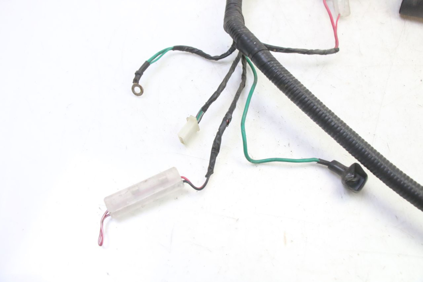 photo de FAISCEAU TNT MOTOR BOSTON 4T 50 (2018 - 2025)