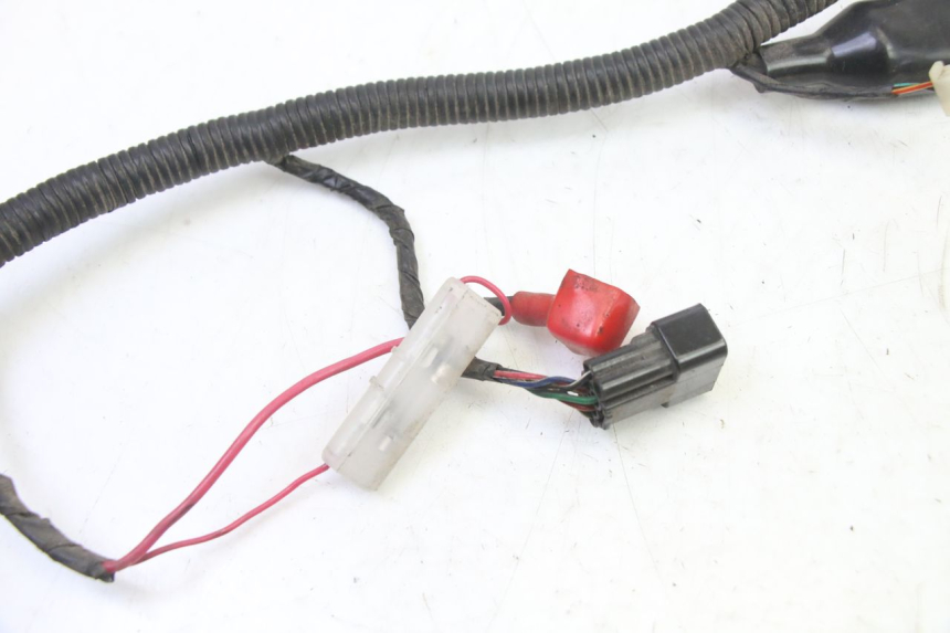 photo de FAISCEAU TNT MOTOR BOSTON 4T 50 (2018 - 2025)