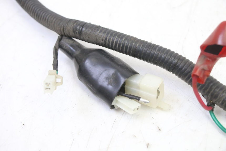 photo de FAISCEAU TNT MOTOR BOSTON 4T 50 (2018 - 2025)