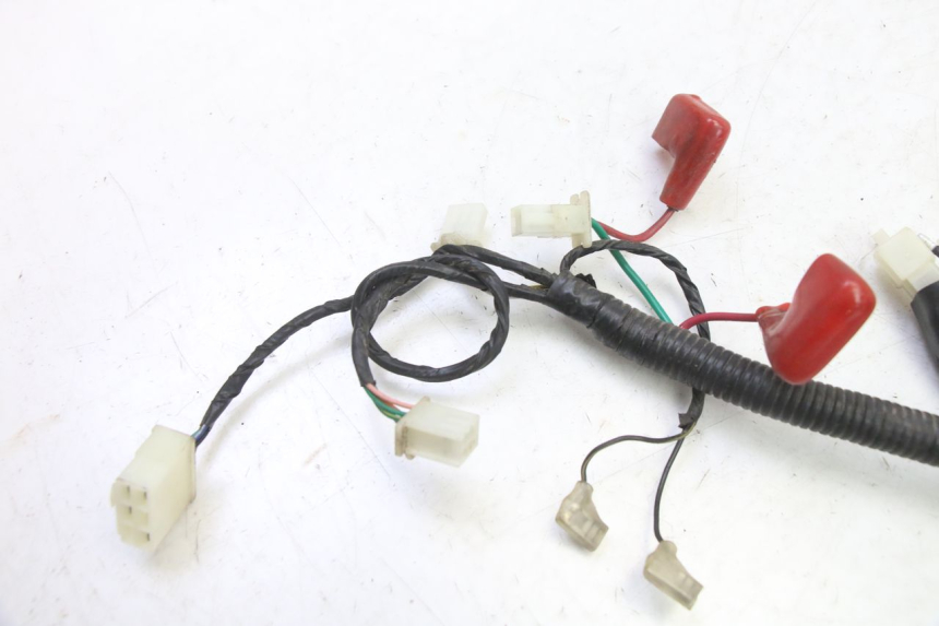 photo de FAISCEAU TNT MOTOR BOSTON 4T 50 (2018 - 2025)