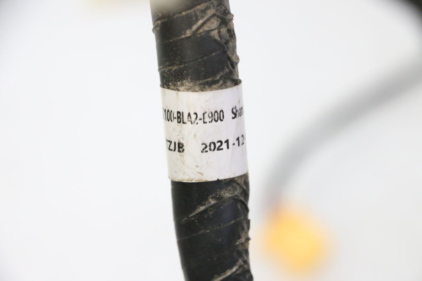 photo de FAISCEAU MOTRON BREEZY 4T 50 (2021 - 2025)