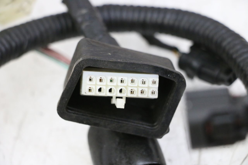 photo de FAISCEAU ORCAL CAVARO 4T 50 (2019 - 2023)