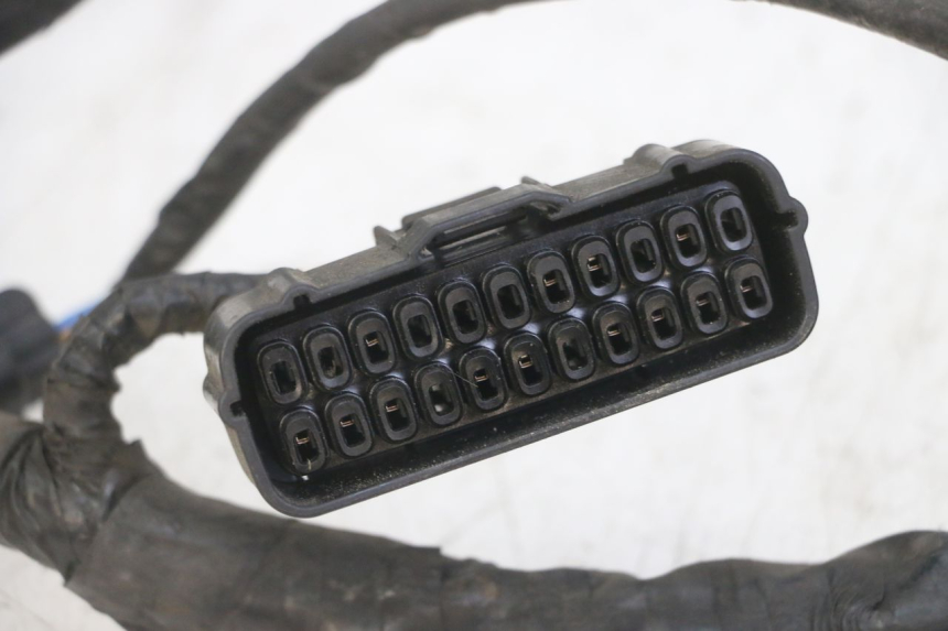 photo de FAISCEAU HONDA CBF 500 (2004 - 2007)