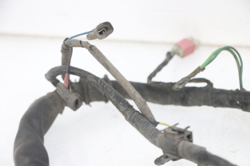 photo de FAISCEAU HONDA CBF 500 (2004 - 2007)
