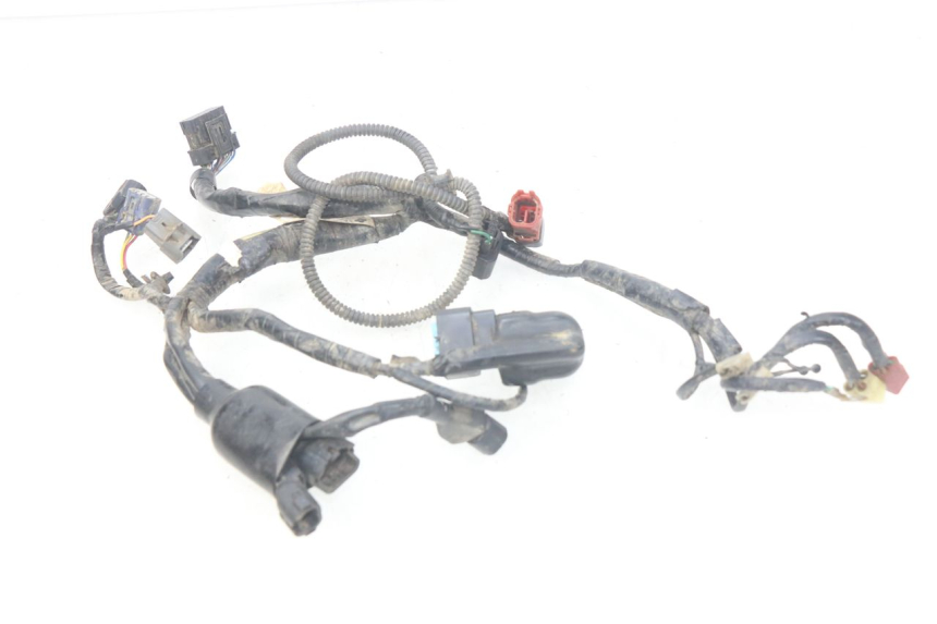 photo de FAISCEAU HONDA CRF 250 (2010 - 2013)