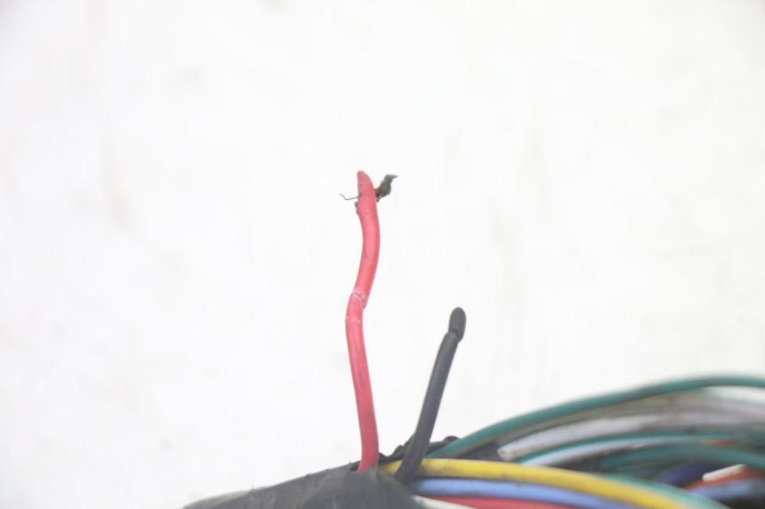 photo de FAISCEAU SYM CROX 4T 50 (2016 - 2023)