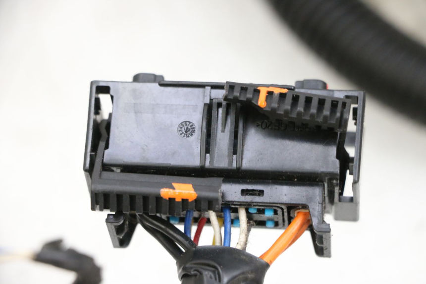 photo de FAISCEAU SEGWAY NINEBOT E125S 1 (2022 - 2026) - Gros plan technique