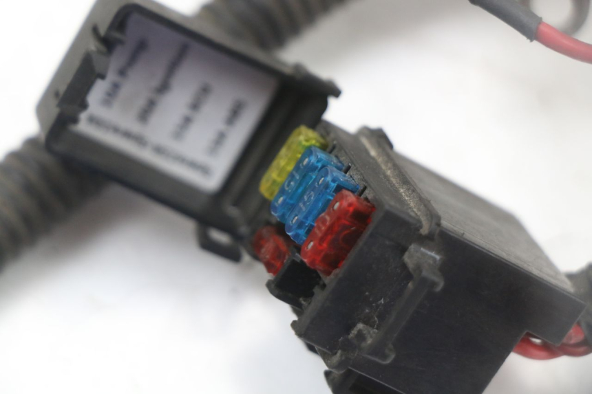 photo de FAISCEAU LONGJIA EASY MAX 125 (2020 - 2024)