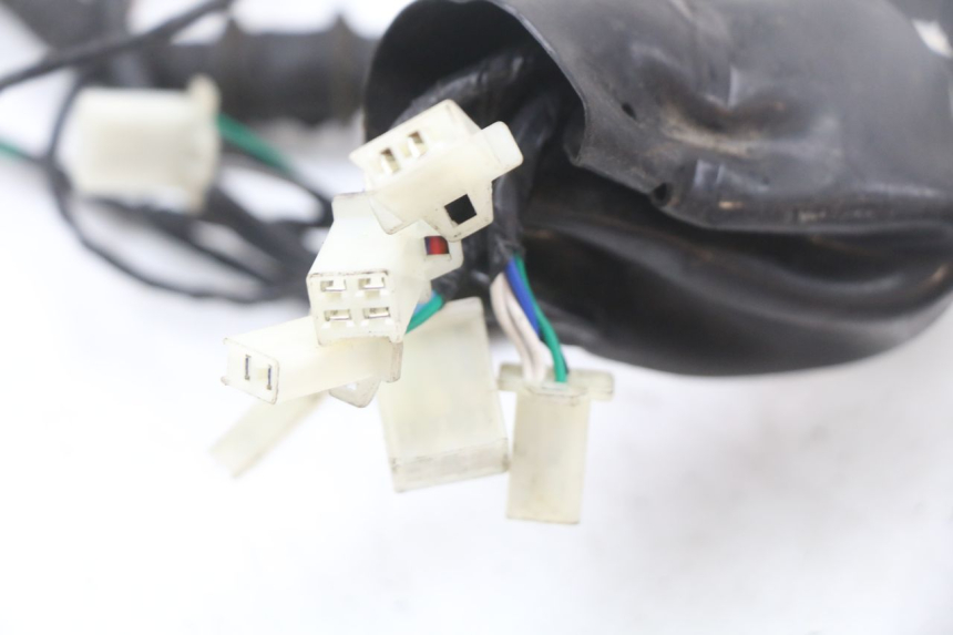 photo de FAISCEAU LONGJIA EASY MAX 125 (2020 - 2024)