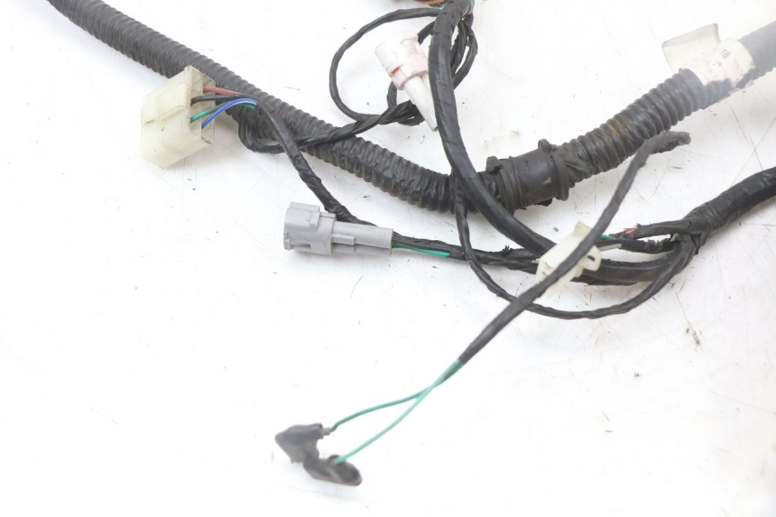 photo de FAISCEAU LONGJIA EASY MAX 125 (2020 - 2024)