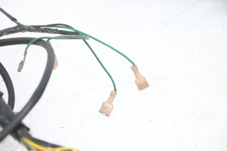 photo de FAISCEAU PEUGEOT ELYSEO 125 (1999 - 2004) - Vue rapprochée