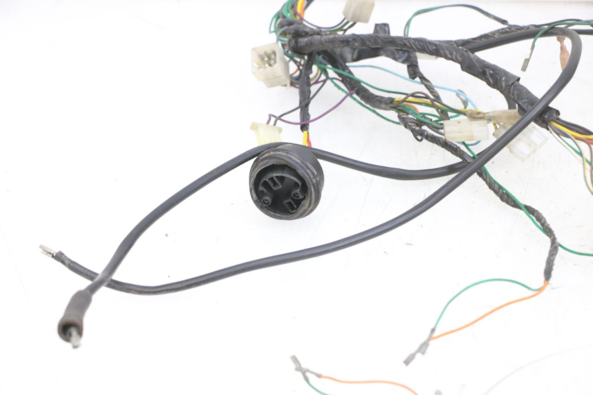 photo de FAISCEAU PEUGEOT ELYSEO 125 (1999 - 2004) - Inspection visuelle