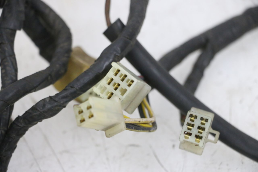 photo de FAISCEAU KAWASAKI GPX R WARBIRD 600 (1988 - 1993) - Vue rapprochée