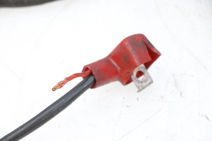 photo de FAISCEAU DAELIM HISTORY 125 (2001 - 2002)